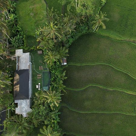 Hatiku Di Bali - Ubud Тегаллаланг Экстерьер фото