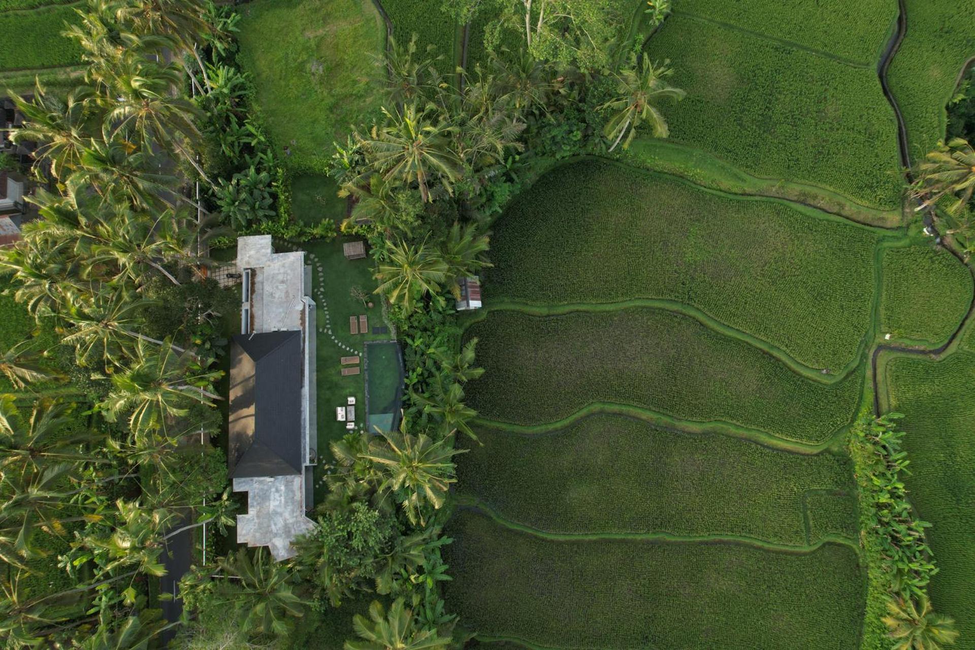 Hatiku Di Bali - Ubud Тегаллаланг Экстерьер фото